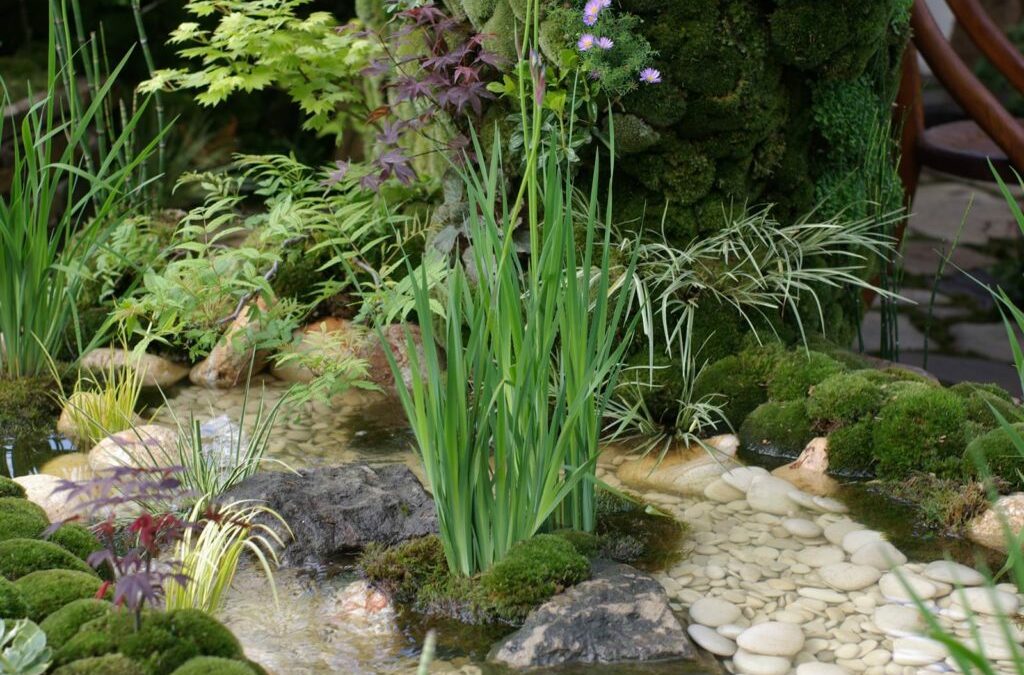 Garden Staging : Sublimez vos Extérieurs pour Attirer les Acheteurs !