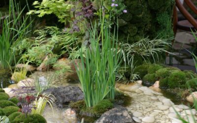 Garden Staging : Sublimez vos Extérieurs pour Attirer les Acheteurs !