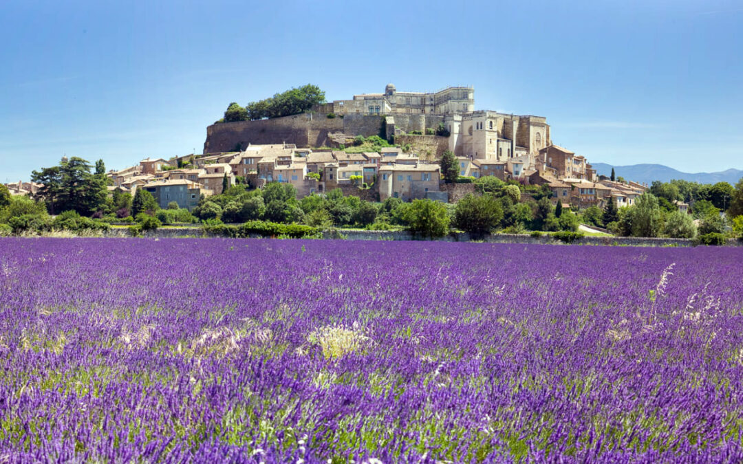 Immobilier estival en Provence : tendances 2024 et opportunités d'investissement