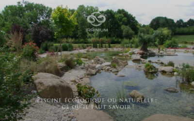 Piscine écologique ou naturelle : ce qu’il faut savoir !