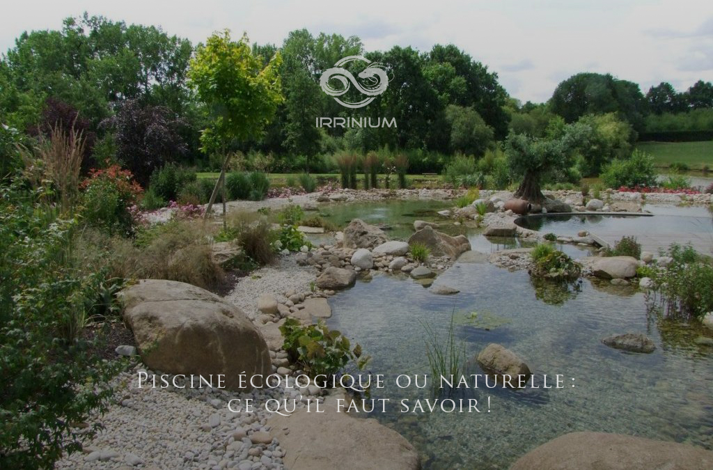 Piscine écologique ou naturelle : ce qu’il faut savoir !